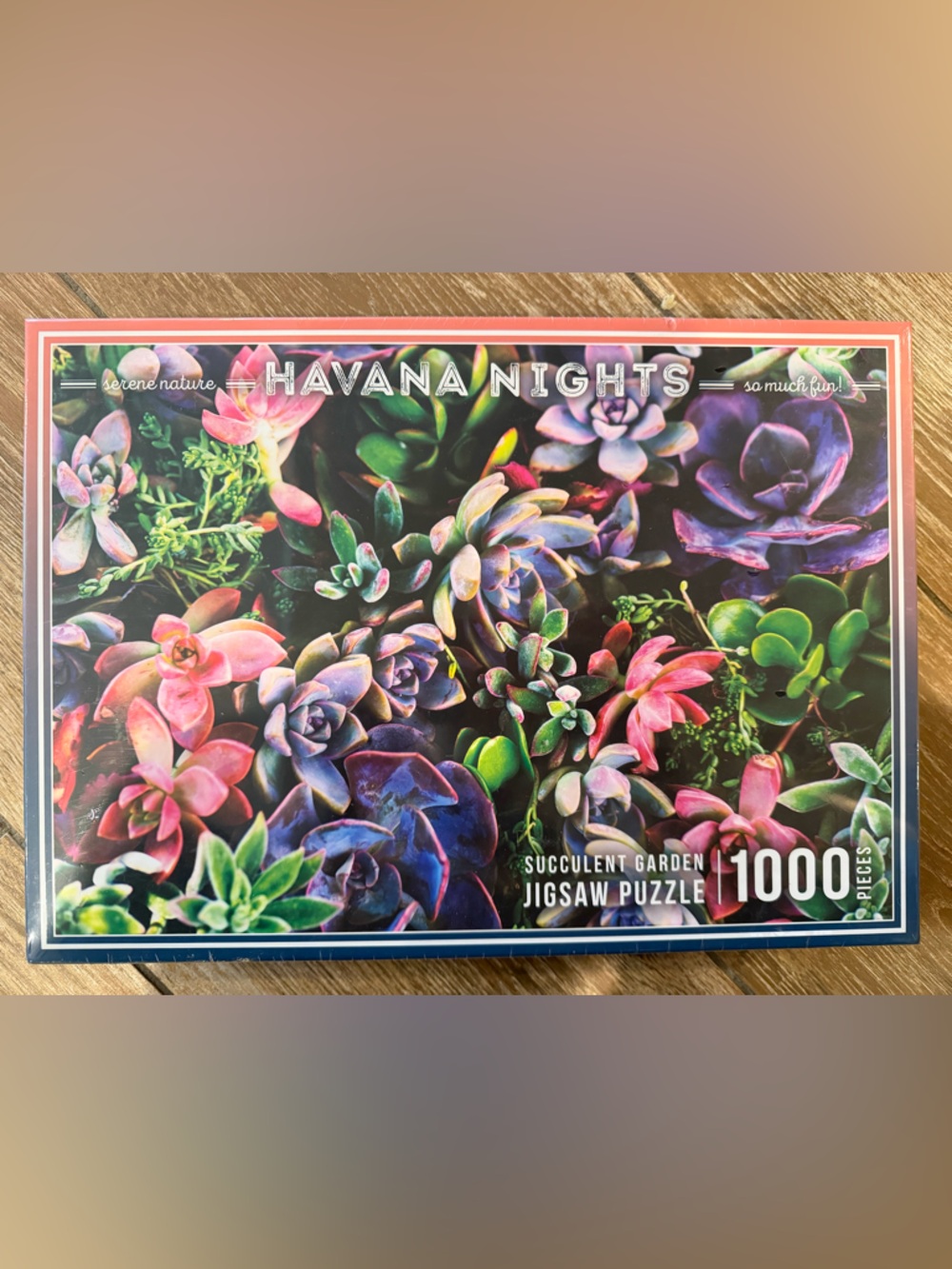 Havana Nights Succulent Garden 1000-Piece Jigsaw Puzzle